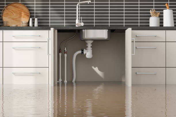 Best Mold Prevention and Remediation in Cedar Hills, OR